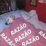 Cobertor para Franci que está sempre coberta de razão
